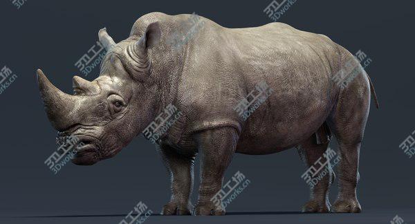 images/goods_img/20210312/Rhino Family 3D/4.jpg